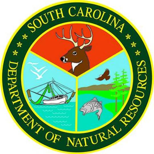 Nonprofit and Organization Logo
