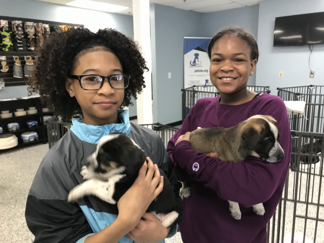 Nonprofit and Organization Photo  (149624)