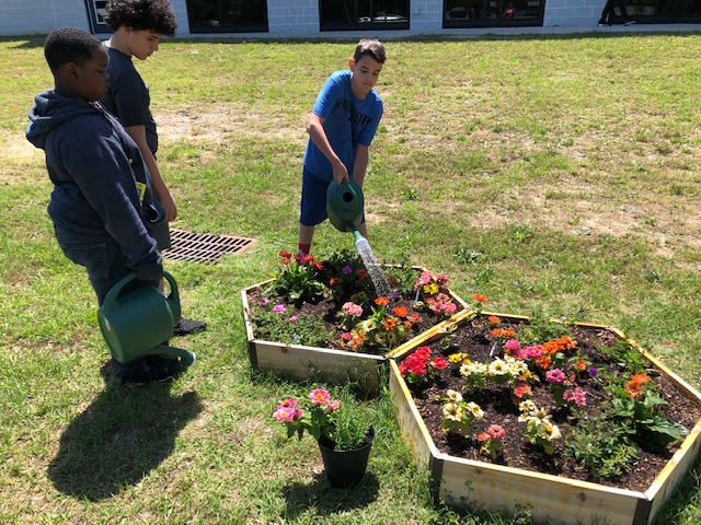 Nonprofit and Organization Photo  (149623)