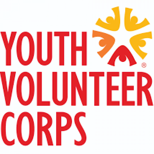 Nonprofit and Organization Logo