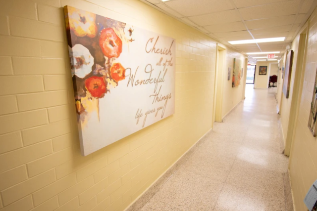 Nonprofit and Organization Photo  (213920)