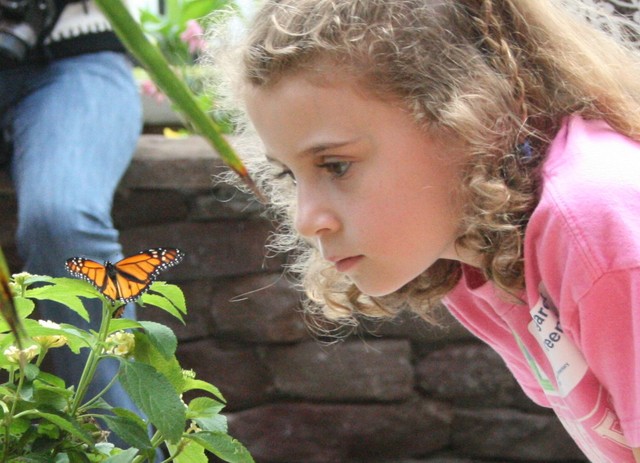 Nonprofit and Organization Photo  (8768)