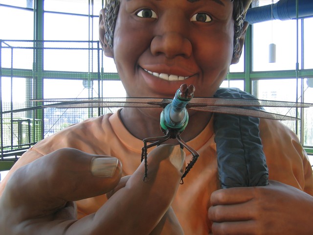 Nonprofit and Organization Photo  (8757)