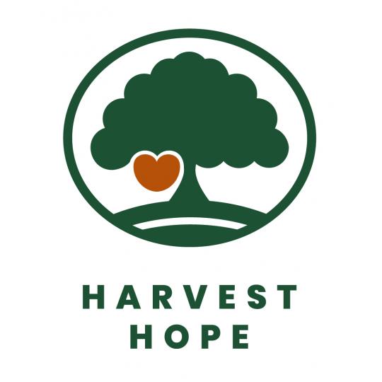Nonprofit and Organization Logo