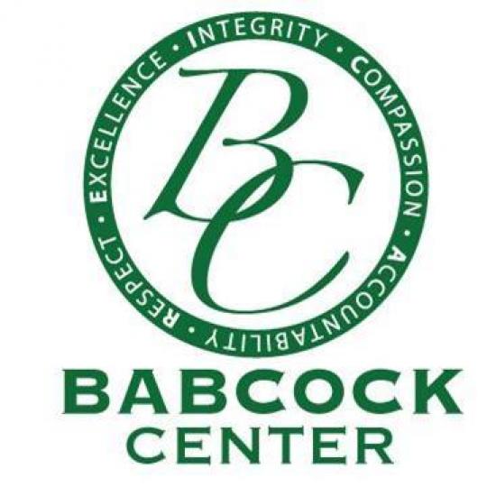 Nonprofit and Organization Logo