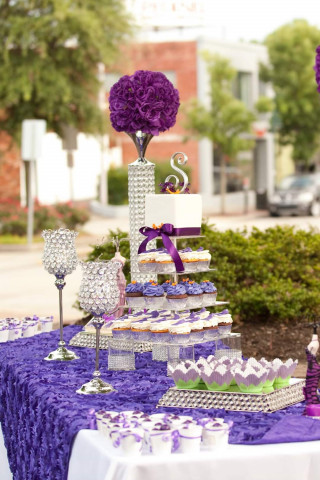 Nonprofit and Organization Photo  (151108)