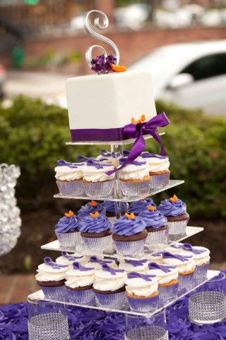 Nonprofit and Organization Photo  (151104)