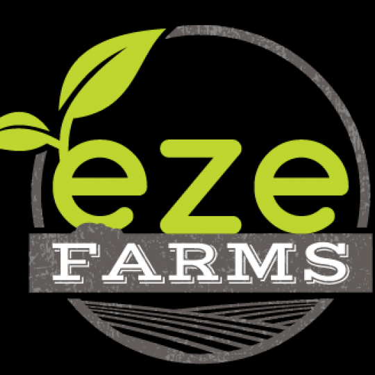 Nonprofit and Organization Logo