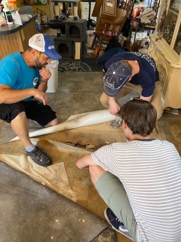 Agency Photo  (191388)