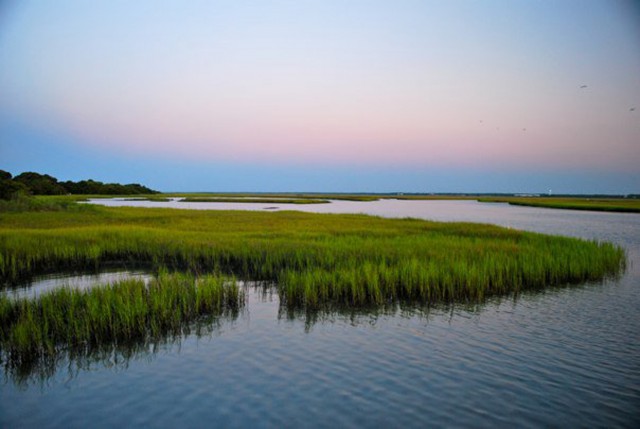 Agency Photo  (40092)