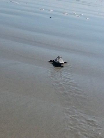 Agency Photo  (40170)