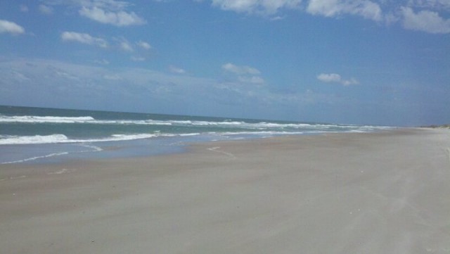 Agency Photo  (40089)