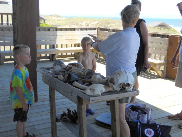 Agency Photo  (40096)