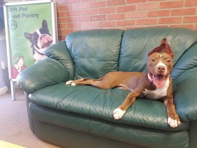 Agency Photo  (123226)