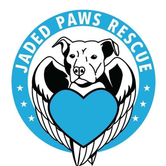 Agency Logo