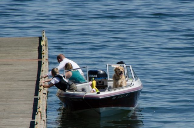 Agency Photo  (186915)