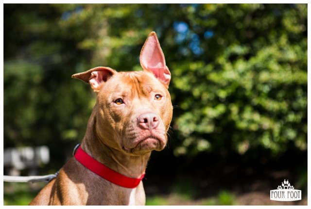 Agency Photo  (34142)