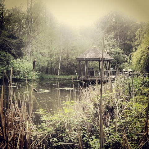 Agency Photo  (60983)