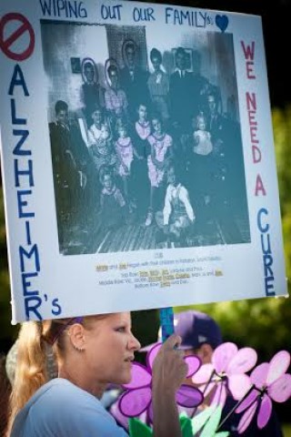 Agency Photo  (40705)