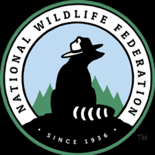 Agency Logo