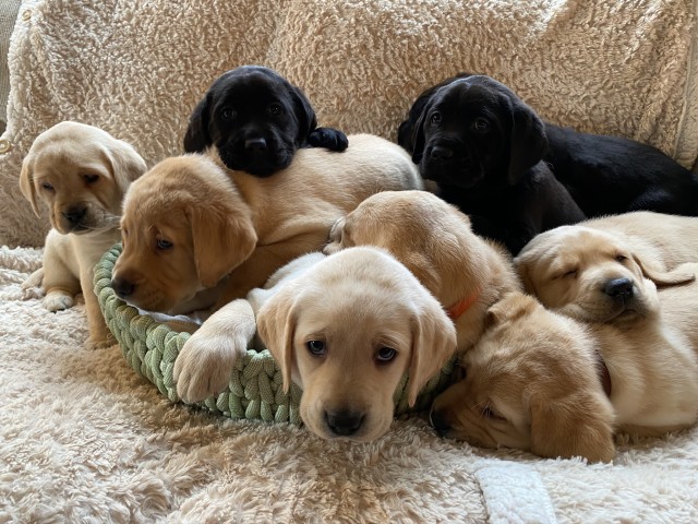 Agency Photo  (210302)