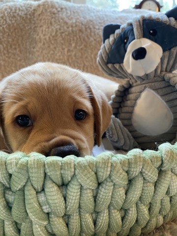 Agency Photo  (210303)