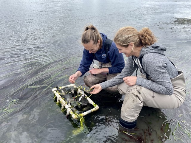 Agency Photo  (212309)