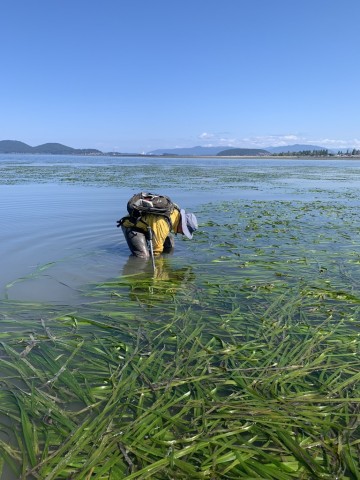 Agency Photo  (212307)