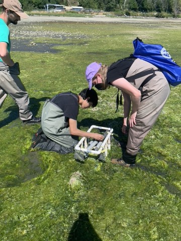 Agency Photo  (212308)