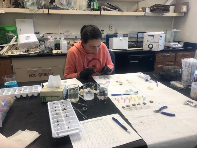 Agency Photo  (212312)