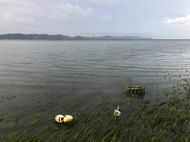 Agency Photo  (212314)