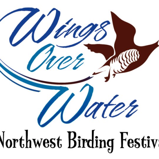Agency Logo