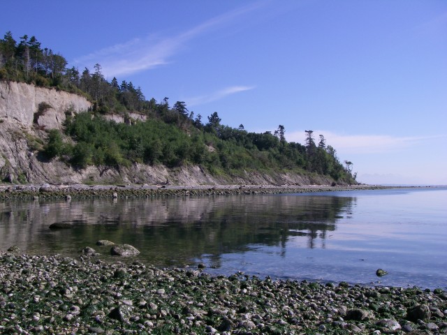 Agency Photo  (33151)