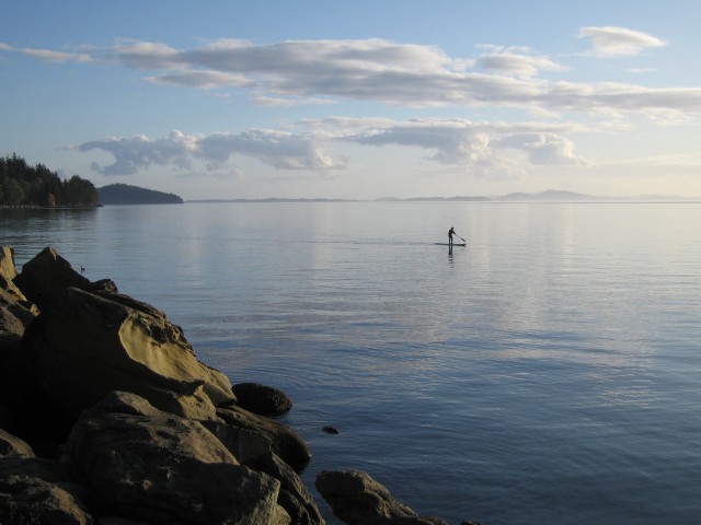 Agency Photo  (113968)