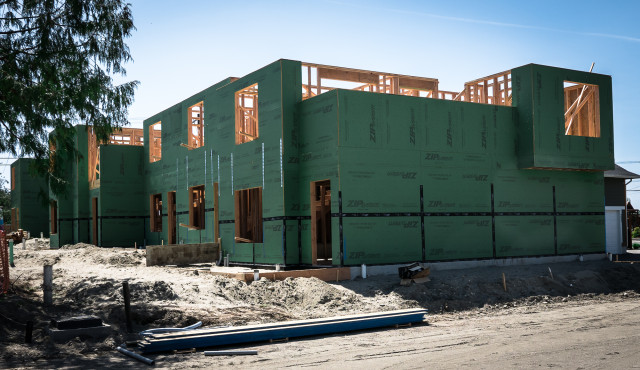Agency Photo  (131446)