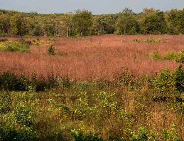 Agency Photo  (212557)
