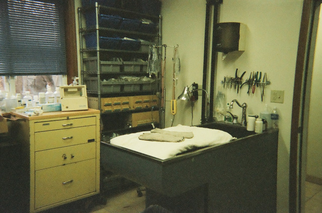 Agency Photo  (134698)