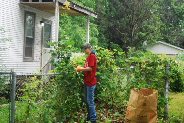 Agency Photo  (85310)