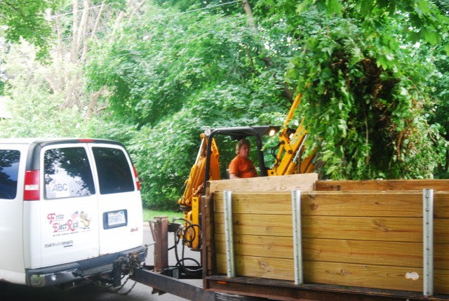 Agency Photo  (85316)