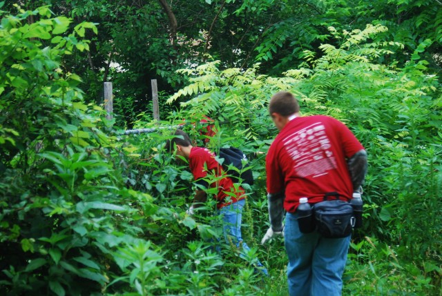 Agency Photo  (85311)