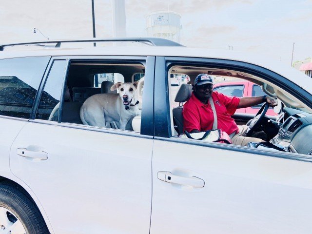 Agency Photo  (257159)