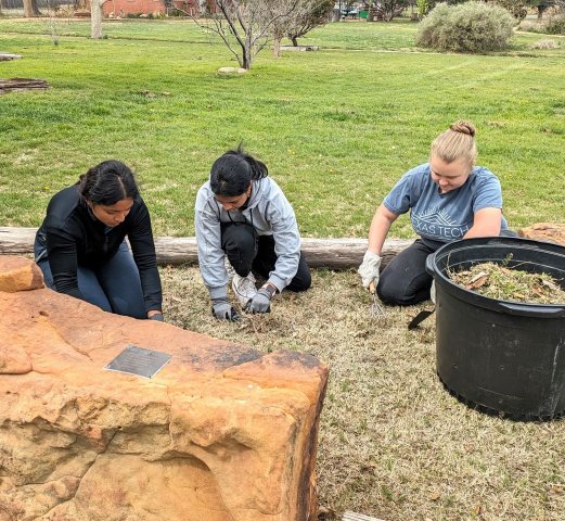 Agency Photo  (260697)