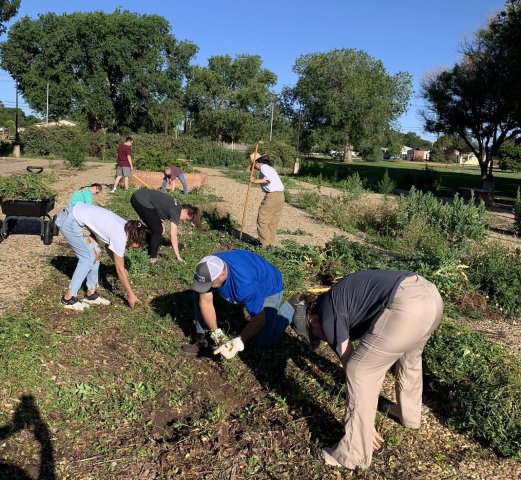 Agency Photo  (260698)