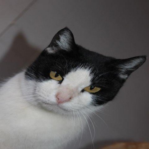 Agency Photo  (261549)