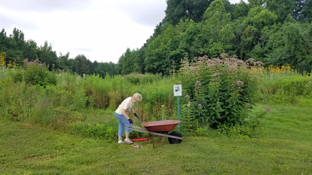 Organization Photo  (140942)