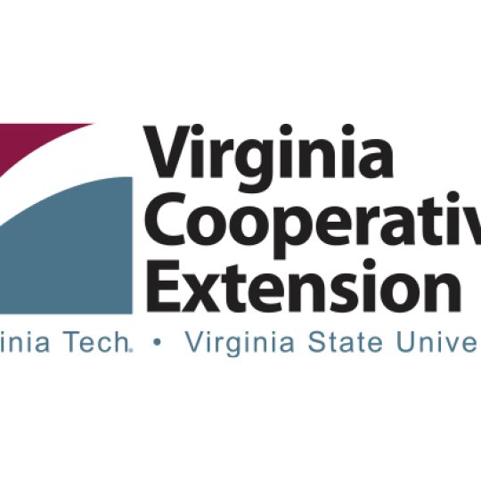 Organization Logo