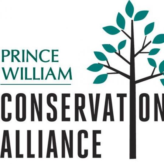 Organization Logo