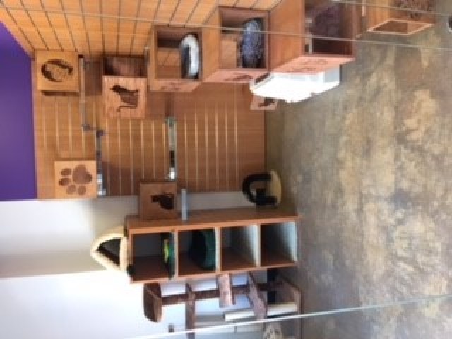 Organization Photo  (104118)