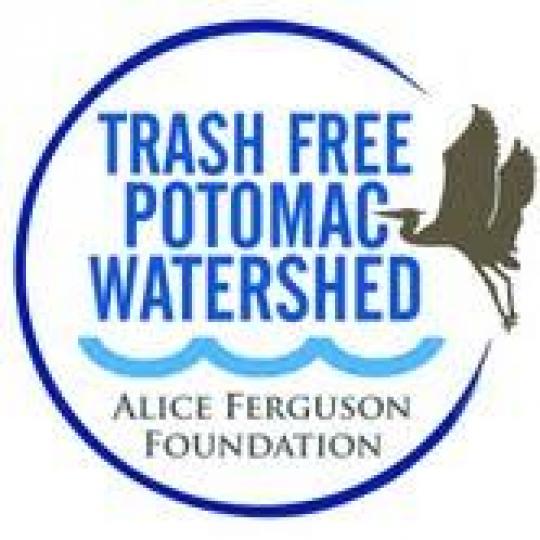 Organization Logo