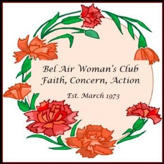Organization Logo